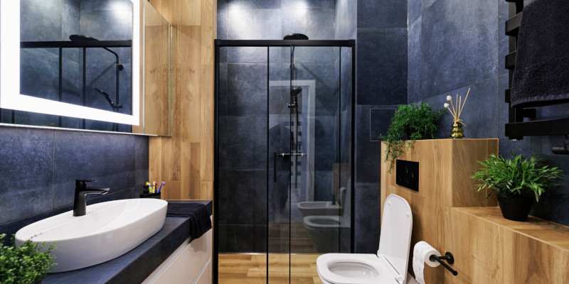 Master bathroom remodeling featuring elegant cabinetry